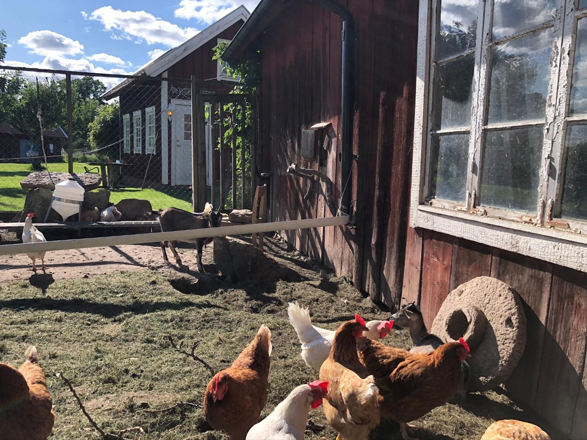 Aeventyrsgardens Vandrarhem, Kinnekulle Källby エクステリア 写真
