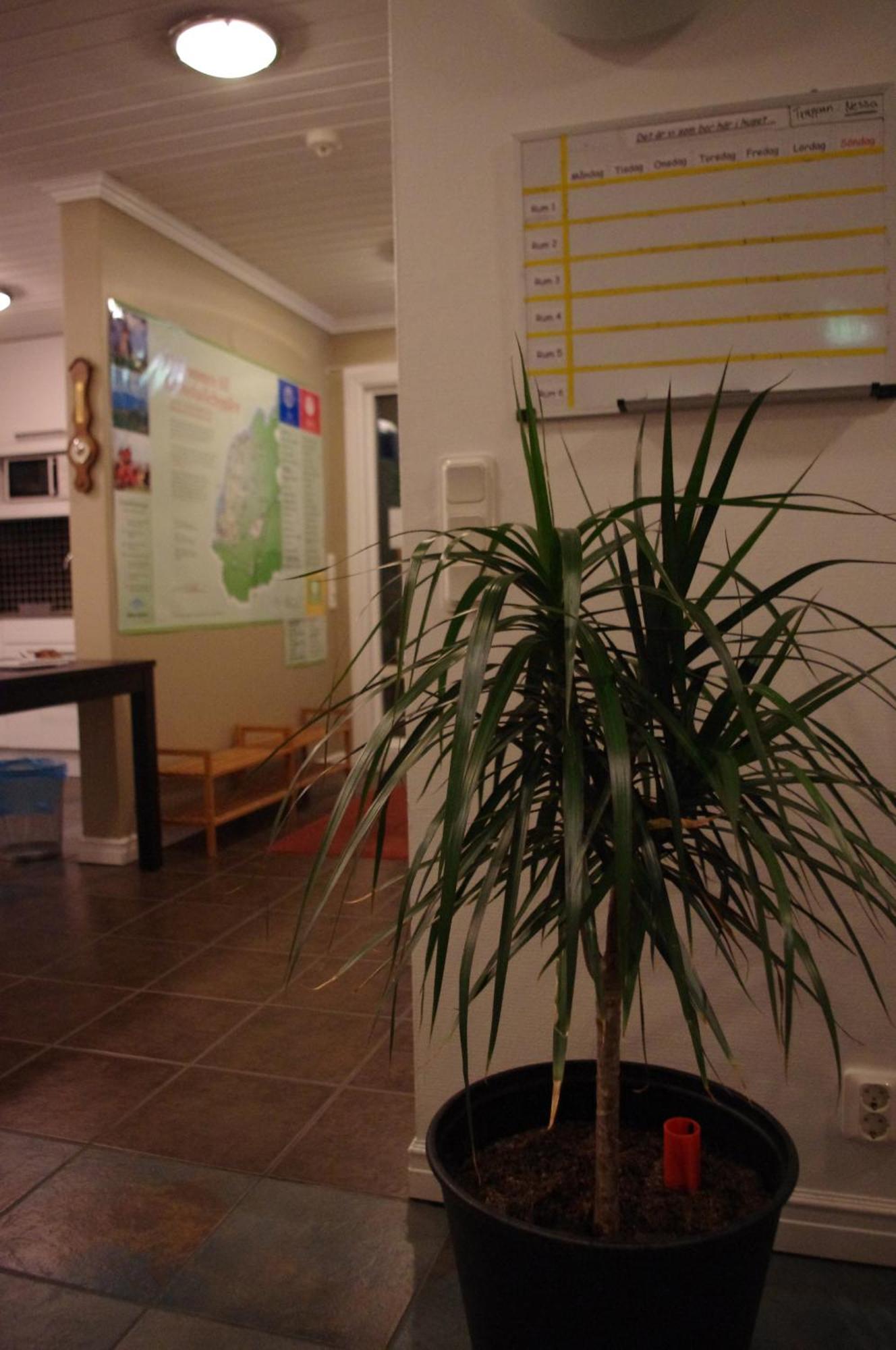 Aeventyrsgardens Vandrarhem, Kinnekulle Källby エクステリア 写真