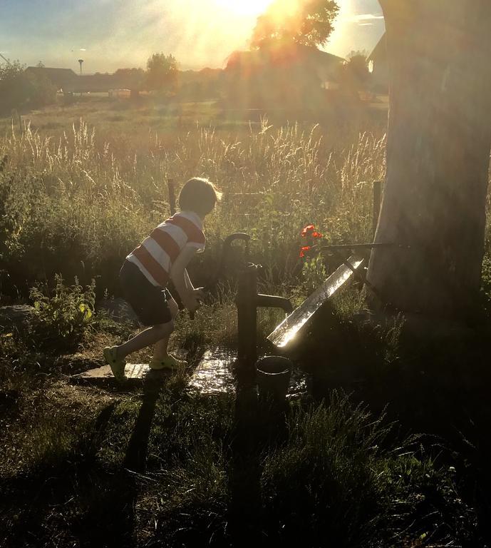 Aeventyrsgardens Vandrarhem, Kinnekulle Källby エクステリア 写真